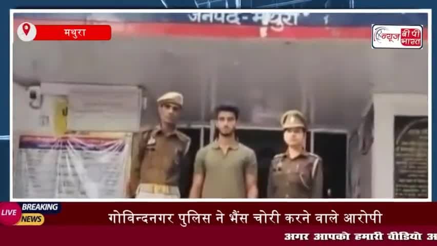 गोविन्दनगर पुलिस ने भैंस चोरी करने वाले आरोपी नदीम को किया गिरफ्तार, 21 हजार रुपये बरामद
#गोविन्दनगर #पुलिस #भैंस #चोरी