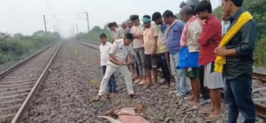 गोगरी: पितोंझिया रेलवे फाटक के पास मालगाड़ी से कटकर वृद्ध व्यक्ति की मौत