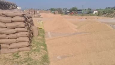 ਐਸਏਐਸ ਨਗਰ ਮੁਹਾਲੀ: ਕਣਕ ਦੀ ਬਿਜਾਈ ਸਮੇਂ ਡੀਏਪੀ ਤੇ ਬੱਦਲ ਵਾਲੀਆਂ ਖਾਦਾਂ ਦੀ ਵਰਤੋ ਕਿਸਾਨ ਲੋੜ ਅਨੁਸਾਰ ਕਰਨ