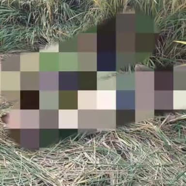 दिनारा: रामगढ़ गांव के समीप धान के खेत में मिला एक युवक और एक किशोरी का शव