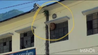 डुंडा: उत्तरकाशी शहर में वन, फायर और पुलिस विभाग की संयुक्त टीम ने ततैया के छत्ते किए नष्ट