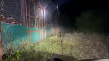 बूंदी: रामगढ़ अभ्यारण के बजलिया एंक्लोजर में छोड़े गए बाघ 2303 RVT4 को रिलीज करने की तैयारी कर रहा है वन विभाग