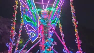 सिंगरौली: एनटीपीसी सिंगरौली ने कबाड़ से बनाई 25 फीट ऊँची तितली की भव्य मूर्ति, रचनात्मकता और कौशल का प्रदर्शन