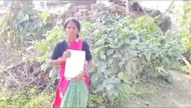 सिंगरौली: दस वर्षीय बालिका घर से लापता, चार दिन बाद भी नहीं मिला सुराग, परिजनों का बुरा हाल