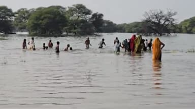 गरोठ: मोलाखेड़ी गांव के पास आयोजित 5 दिवसीय शंखोद्वार मेले का हुआ समापन, मान्यताओं के अनुसार यहां लगता है भूतों का मेला