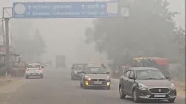 झज्जर: झज्जर में ठंडी हवाओं के साथ कोहरा छाया, सड़कों पर वाहन धीमी गति से चलते दिखे