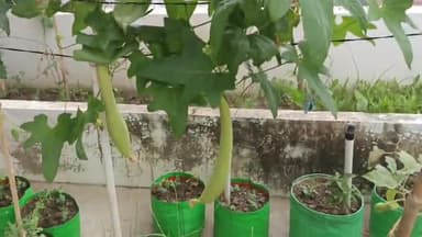 ये वीडियो नहीं हमारे मेहनत का प्रतिफल है। सभी को जी तोड़ परिश्रम करनी चाहिए क्योंकि ये जिंदगी फिर नहीं मिलेगी दुबारा🙏