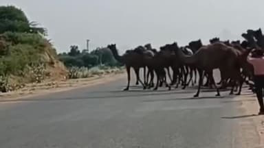 सायला: जालोर जिले में राष्ट्रीय राजमार्ग 325 को लेकर किसानों से 15 दिन में मांगे गए मुआवजे के दस्तावेज