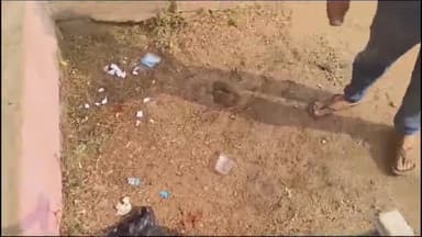 जयसिंहनगर: अमझोर के शासकीय बालक स्कूल में शराबियों ने शराब का सेवन कर फैलाई गंदगी, वीडियो आया सामने