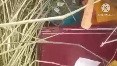 कुढ़नी: कुढनी थाना क्षेत्र में दो ज्वेलर्स की दुकानों में लाखों की चोरी