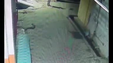 घाटमपुर में चोरों का तांडव,एक ही रात में तीन घरों को बनाया निशाना, नगदी समेत लाखों के जेवर किए पार