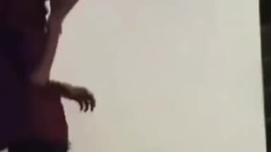 सायला: सायला थाना क्षेत्र में शादी का झांसा देकर रुपये हड़पने का मामला सामने आया, पीड़ित ने एसपी से लगाई गुहार