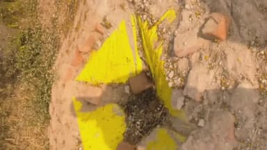 देवसर: मृत पशु ग्रामीणों और राहगीरों के लिए परेशानी का सबब, मामला सखौहां ग्राम पंचायत का