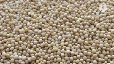 सिल्ली: कुच्चू गांव में आईसीआईसीआई फाउंडेशन ने 120 किसानों के बीच सरसों के बीज का वितरण किया