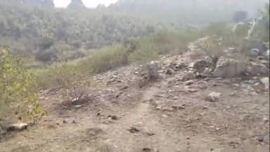 झाझा: गंडो घाट के समीप घने झाड़ियों से झाझा पुलिस ने अज्ञात शव किया बरामद, पुलिस आगे की कार्रवाई में जुटी