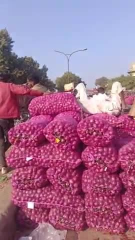 अलवर की प्याज में दोबारा भाव में आए तेजी 
#hilightalwar