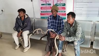 सासाराम: सासाराम फॉरेस्ट विभाग के अधिकारी ने जंगली जानवर मारने के आरोप में तीन व्यक्तियों को किया गिरफ्तार