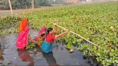 बछवारा: बछवारा प्रखंड के बलान नदी में महिला स्वयंसेवी संस्था ने सफाई अभियान चलाया