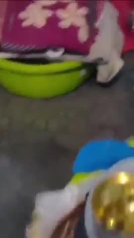 मेरठ: भावनपुर क्षेत्र के दतावली में बंद मकान से चोरों ने नकदी, ज्वेलरी व महंगी साड़ी की चोरी, पुलिस को दी गई शिकायत