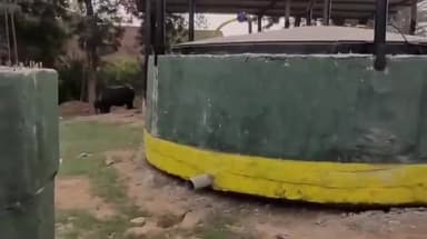 बरवाला: गोवर्धन परियोजना के तहत प्यारेवाला में 30 घरों को दिए जाएंगे गोबर गैस के कनेक्शन, सरपंच ने की घोषणा