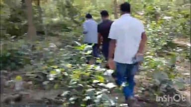 जगदलपुर: बिरनपाल जंगल में वन विभाग द्वारा पेड़ कटाई के बाद निरीक्षण के लिए पहुंचे कांग्रेस अध्यक्ष सुशील मौर्य और पूर्व विधायक