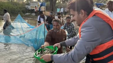 हज़ारीबाग: तिलैया जलाशय में मत्स्य अंगुलिका संचयन और केज प्रणाली का निरीक्षण