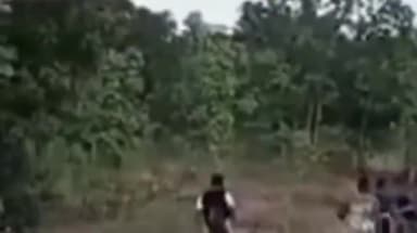 ବିନିକା: ଉଲୁଣ୍ଡା ଅଂଚଳରେ ୨୧ଟିକିଆ ହାତୀପଲଙ୍କ ଉତ୍ପାତ, ନାକେଦମ ହେଉଛନ୍ତି ବନବିଭାଗ