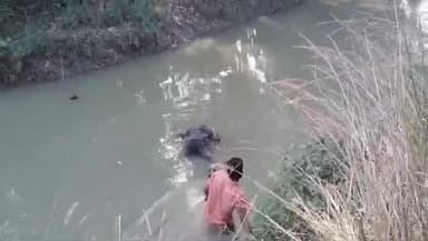 गोरखपुर: पिपराइच थाना क्षेत्र के कपूरी नाले से युवक की लाश बरामद, युवक की पहचान हुई