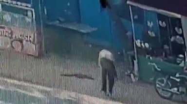 बरवाला: कंडाईवाला-पारवाला बस स्टॉप के पास मधुमक्खियों ने लोगों पर किया हमला, पंचकूला के सेक्टर 6 अस्पताल में भर्ती