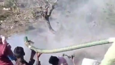 बरवाला: कालका के इंडस्ट्री एरिया में नदी के किनारे आग लगी, दमकल और पुलिस मौके पर पहुंची