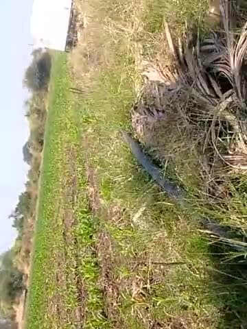 khargon khetwadi aadivasi log 
#