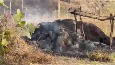 सिंगरौली: बडगढ़ गांव में अज्ञात कारणों से खेत में बनी झोपड़ी में लगी आग, दो नाबालिग बच्चे जिंदा जले