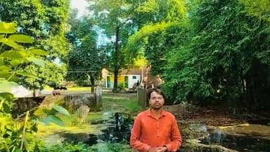 #योगी_सरकार_के_ट्रिलियन_इकोनामी और NEP का जमीनी सच #PS_विद्यालय के मुख्य द्वार पर तालाब आवारा जानवर?