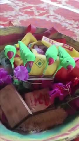 आज निज निवास म हमर क्षेत्र के बहिनी मन सुवा नृत्य करे बर पधारिस, अउ सुवा नृत्य अउ गीत ले पूरा कार्यालय ल महका दिस, बहिनी मन के हालचाल अउ नेग दे के सौभाग्य मिलिस....

जम्मो क्षेत्रवासी मन ल देवारी तिहार के गाड़ा गाड़ा बधाई।