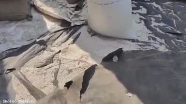 शिवपुरी नगर: इंडस्ट्रीज एरिया में व्यापारी के गोदाम में क्विंटलों पीडीएस का चावल और गेंहू मिला, जांच के लिए लैब भेजे गए सैंपल