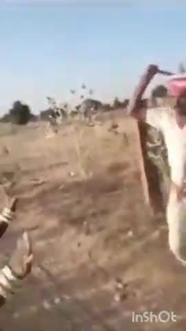 खींवसर: तांतवास गांव में दलित परिवार के साथ मारपीट का सोशल मीडिया पर वीडियो हुआ वायरल