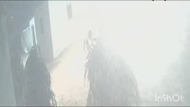 गोपालगंज: तीरविरवा समेत अन्य गांवों से स्कार्पियो सवार चोरों ने 8 मवेशियों की चोरी की, पुलिस जांच में जुटी