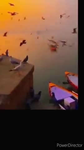 जिन्होंने सांझ ढले आसमान में पंक्षियों का कलरव देखा है घोसलों  में लौटने की उनकी खुशी को महसूस किया है उनके लिए चंद पंक्तियाँ 🙏