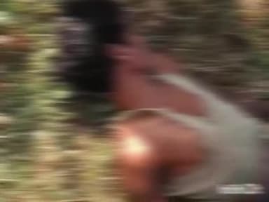 वाड्रफनगर: पण्डो जनजाति के युवक की धढ़िया गांव में सड़क किनारे संदिग्ध परिस्थितियों में मिली लाश, पुलिस जांच में जुटी