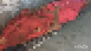 हरदोई: शाहादतनगर में गृह प्रवेश की दावत खाकर घर जाने के लिए सड़क किनारे खड़ी दो महिलाओं को पिकअप ने रौंदा, हुई मौत