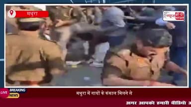 मथुरा में गायों के कंकाल मिलने से हंगामा, पुलिस ने किया लाठीचार्ज
#मथुरा #गायों #कंकाल #मिलने #हंगामा #पुलिस