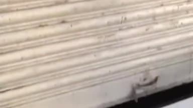 हुज़ूर: MP नगर जोन 2 में कोचिंग के नाम पर ठगी का मामला आया सामने, छात्रों से पैसे लेकर फरार हुआ संचालक; मुक़दमा दर्ज