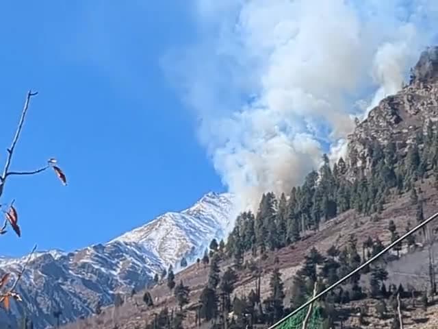 पांगी की कारगिल के जंगल मैं लगी आग