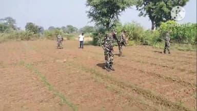 सिल्ली: ग्राम हुसीरहातु के जंगलों में 1 एकड़ 70 डिसमिल में लगी अफीम की फसल नष्ट