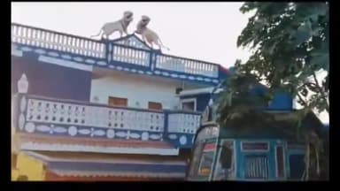 देवसर: बरगवां थाना क्षेत्र में टेलर वाहन अनियंत्रित होकर मकान से टकराया, चालक फरार