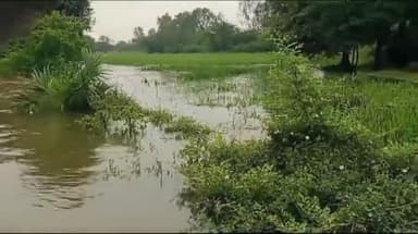 ஆவுடையார் கோவில்: ஆலமங்கலம் கிராமத்தில் ஏரி உடைந்ததால் 2 கிமீ  தூரத்திற்கு சாலை சேதம் 15 KM சுற்றி செல்லும் பொதுமக்கள் மேம்பாலம் கட்ட கோரிக்கை