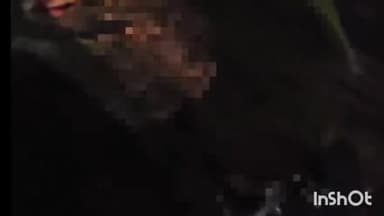 कोचस: कोचस थाना क्षेत्र के हाईवे पर पिकअप और बोलेरो में हुई टक्कर, छह लोग हुए जख्मी