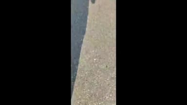 झांसी: नेशनल हाईवे झांसी में पलटी अल्टो कार, समाजवादी पार्टी के प्रदेश सचिव ने दौड़कर बचाई कार में फंसे 2 युवकों की जान