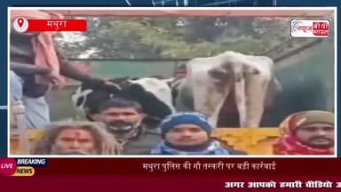 मथुरा पुलिस की गौ तस्करी पर बड़ी कार्रवाई,  3 गौवंश बचाए गए, दो तस्कर गिरफ्तार
#मथुरा #पुलिस #गौ #तस्करी #कार्रवाई