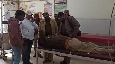 बदायूं: लालपुल पुलिस चौकी पर ड्यूटी पर तैनात सिपाही पर मधुमक्खियों ने किया हमला, घायल की हालत गंभीर